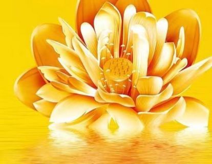 【亲子冥想】金色莲池，温暖身心