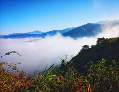【亲子冥想】清晨山谷，白雾萦绕