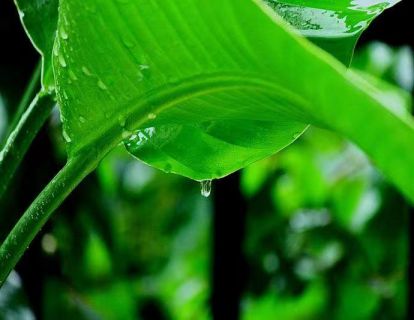 【亲子冥想】清澈雨滴，洗涤疲劳