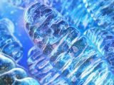 18、引力波：科学的时光穿梭通道