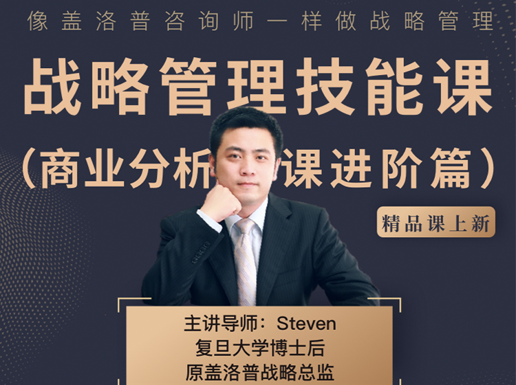 战略管理技能课（商业分析进阶篇）