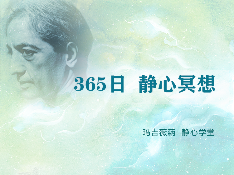 365日静心冥想