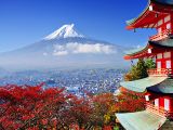 全球房地产投资自由度指数——日本