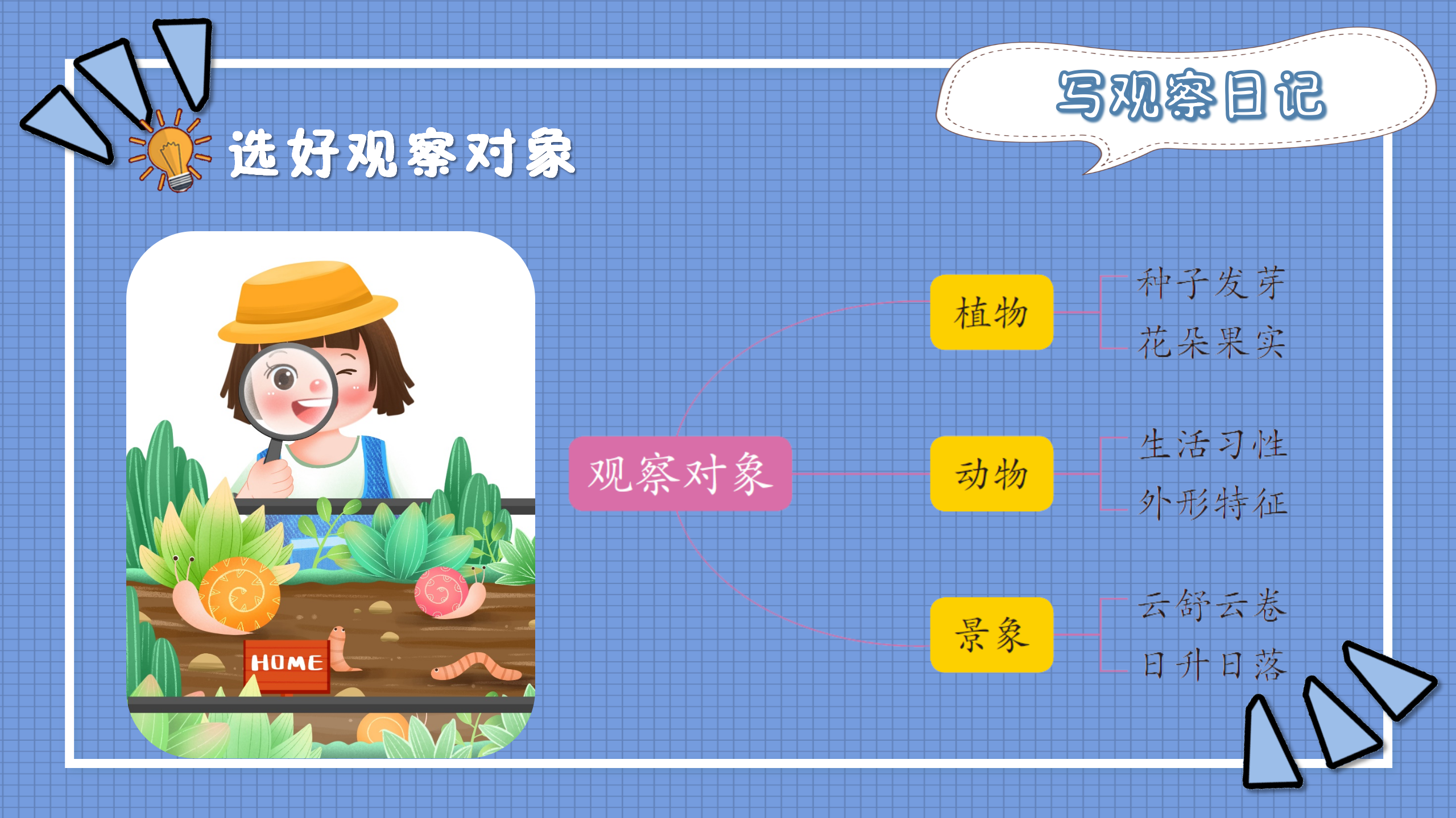 小学生分类作文课(配部编版语文习作)