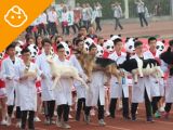 带"动物标本"上运动会，有猫有狗还有小猪佩奇