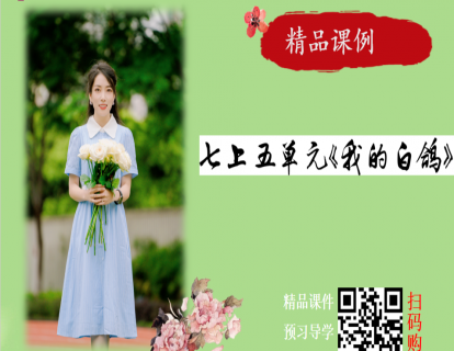 七上第五单元《我的白鸽》