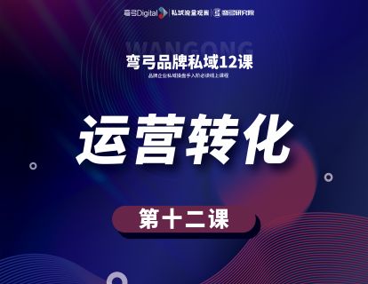 第十二课 运营转化