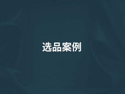 第8讲【选品案例】