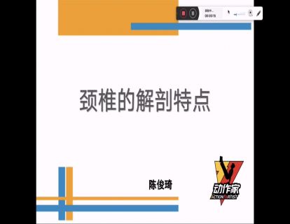 颈椎的解剖特点