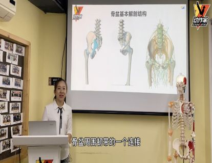 骨盆美学综合评估之软组织解读