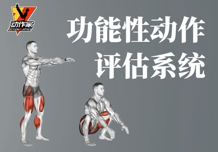 【运动康复】功能性动作评估系统
