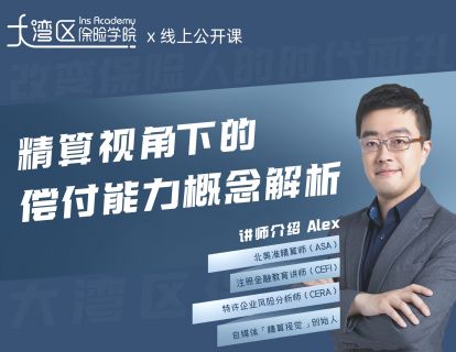 精算视角下的偿付能力概念解析