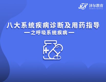 01认识呼吸系统