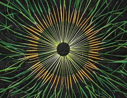 低音振频：你的眼神