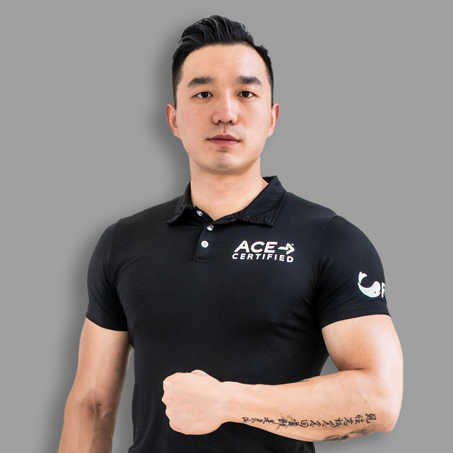 常用的31块肌肉解剖