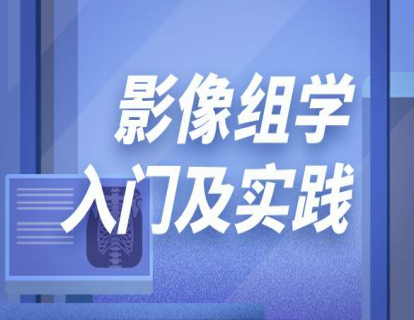 1绪论