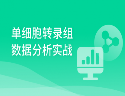 1-1单细胞转录组上游分析