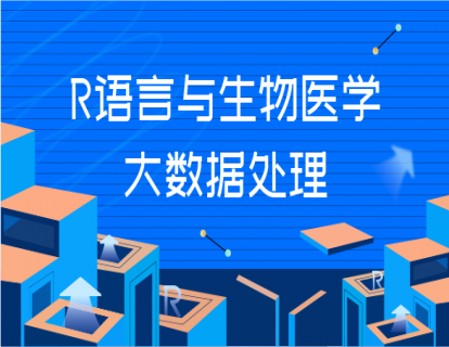 1R语言入门