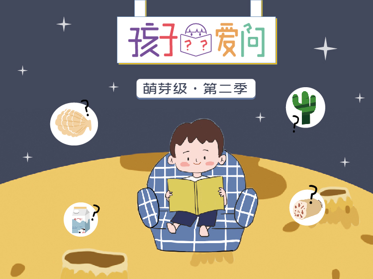 「孩子爱问」萌芽级·第二季