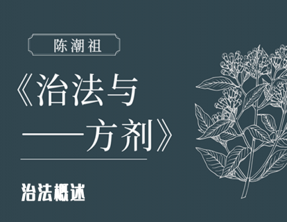 第十三章 第一节：治法概述