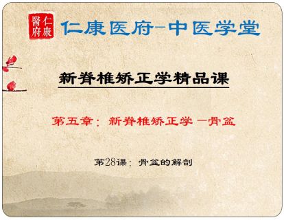 01 骨盆的解剖