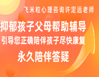 8.抑郁症孩子陪伴整体方案之一