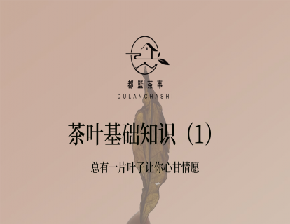 1、【赠】茶叶基础知识（1）--  总有一片叶子让你心甘情愿