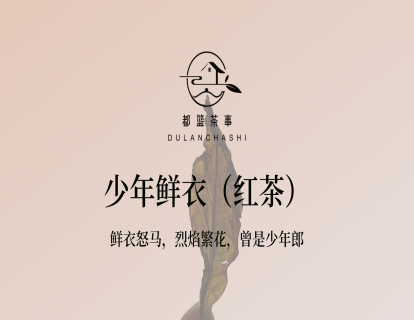 7、【赠】少年鲜衣（红茶）-- 鲜衣怒马，烈焰繁花，曾是少年郎