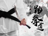 少儿跆拳道-第二十三节