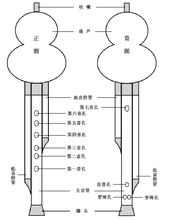 葫芦丝（入门级）
