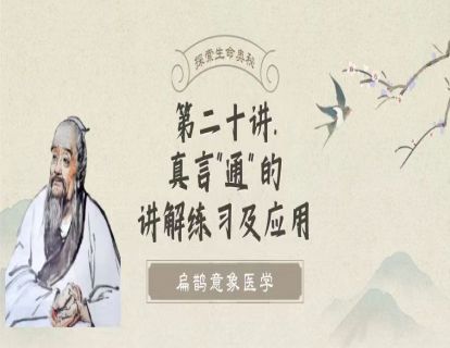 第二十讲  真言tong的讲解练习及应用