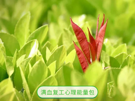 满血复工心理能量包