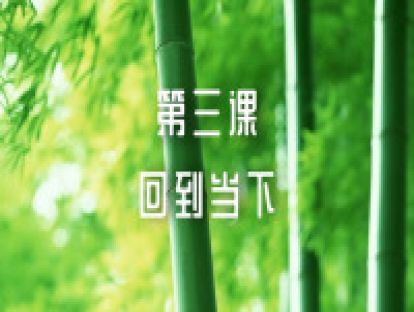 第三课：回到当下