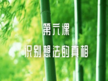 第六课：识别想法的真相