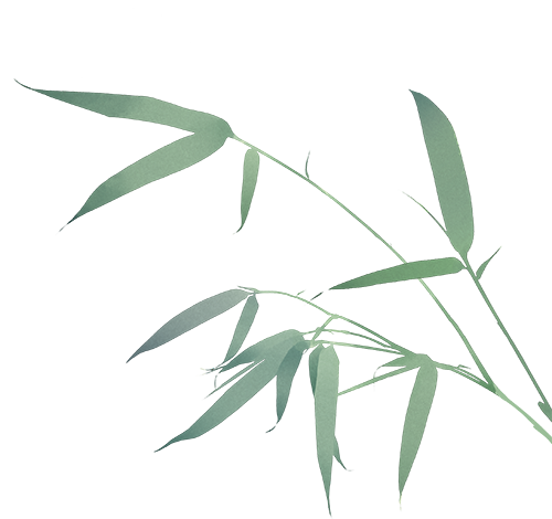 中医根本续(上)