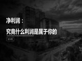第24讲 | 净利润：究竟什么利润是属于你的