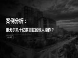 第13讲 | 案例分析：雅戈尔几十亿票百亿的惊人操作（1）