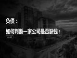 第15讲 | 负债：如何判断一家公司是否缺钱