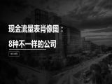 第28讲 | 现金流量表肖像图：8种不一样的公司