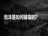 第8讲 | 股市泡沫是如何破裂的？