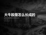 第6讲 | 大牛股是怎么长成的？