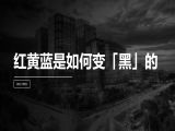 第15讲 | 红黄蓝是如何变“黑”的