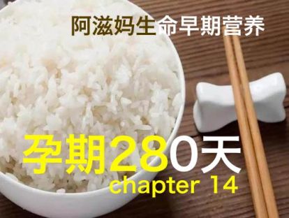 【板块三】01  碳水化合物分寸要拿捏
