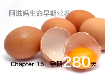 【板块三】02  蛋白质参与构建了几乎整个宝宝