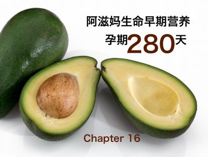 【板块三】03   从长计议 吃够好脂肪