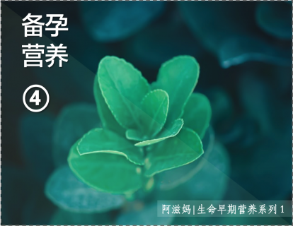 4【板块一】03  备孕的整体逻辑关联