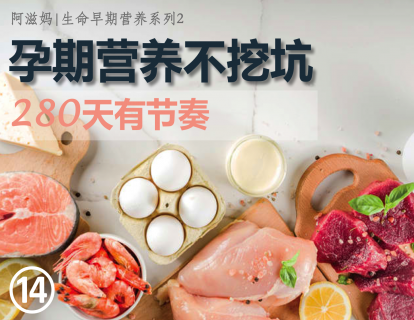 14【板块三】02  蛋白质参与构建了几乎整个宝宝