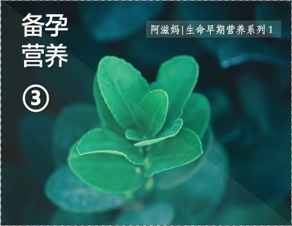 3【板块一】02  你可千万别以为还有好几年才打算生孩子，现在混混不是个事儿！