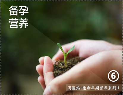 6【板块二】01 卵子的长篇故事