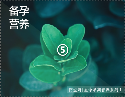 5【板块一】04  对生命早期的理解是备孕的出发点之一
